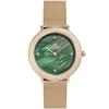 Daniel Wellington Crystalline Bezel Evergold Green DW00100824 Wrist Watch