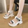 Fashion Sports Sandals for Women 2024 New Summer Wedge Muffin Platform Fish Mouth Daddy High Heels To Increase Women's Shoes