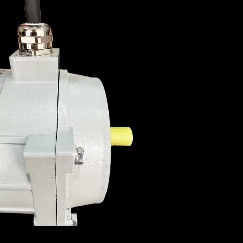 IP68 Waterproof Energy-Efficient Automatic Car Wash Motor CN plug (adapter included)