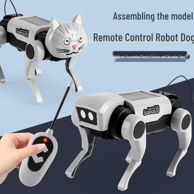 DIY Mechanische Katze & Hund Fernbedienung Spielzeug für Kinder