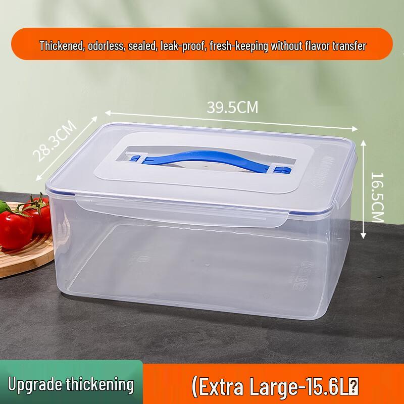 Ally Extra-Large Portable Rubber Food Storage Container