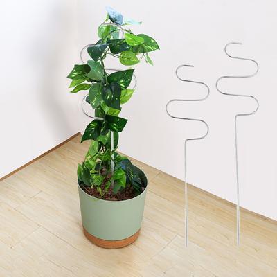 Flower Decorative Frame Sturdy Long-term Use Stainless Steel Premium Plant Support Climbing Rack for Yard