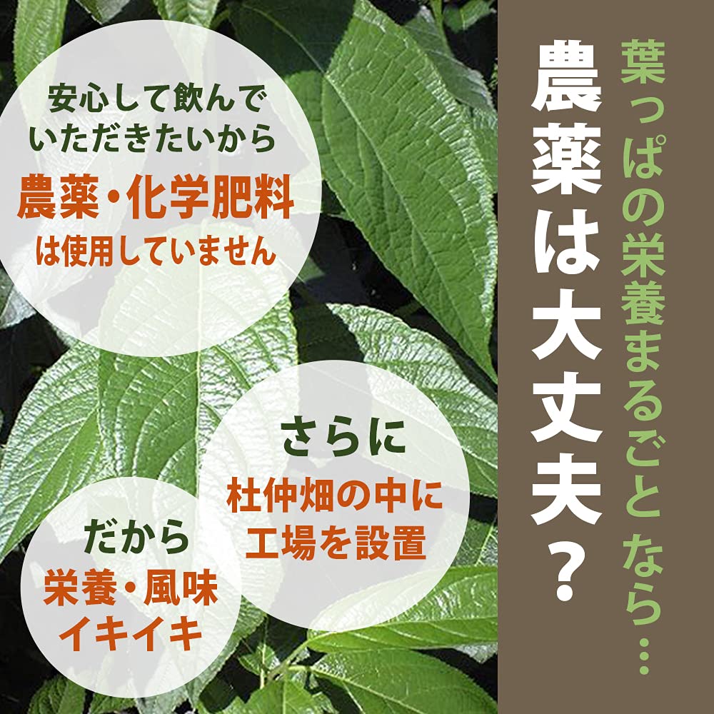 Health Food Genryoya Tochu Tea Powder, Made in Japan, Approximately 200 Cups, 100g x 1 Bag