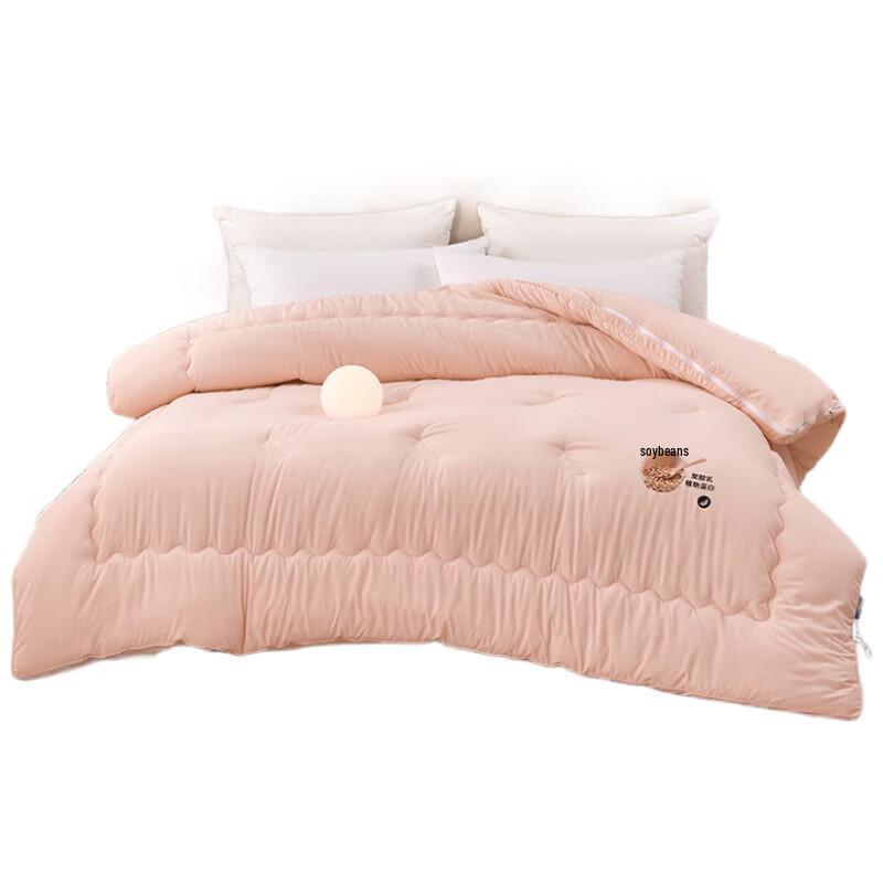 Paul David Cloud Bean All-Season 2-in-1 Duvet