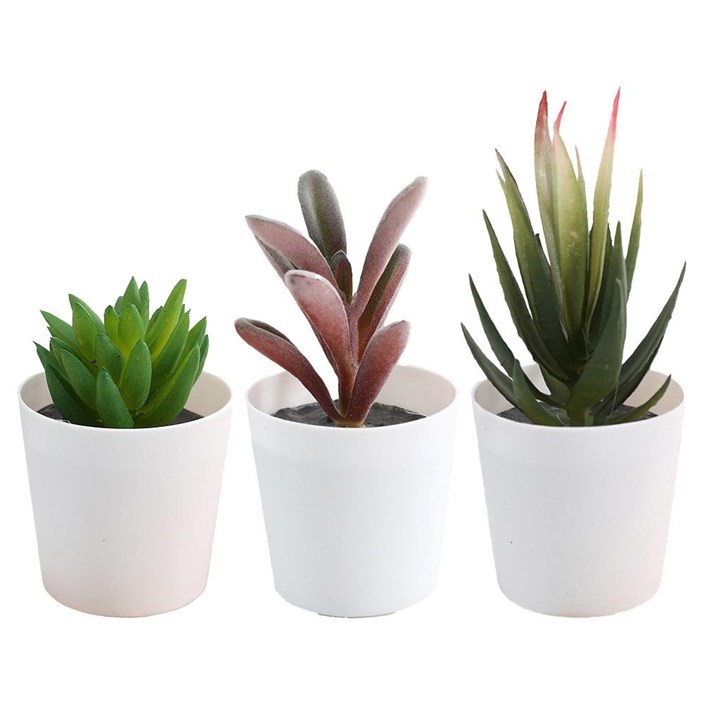 

3 Разных растения Настольный набор суккулентов Имитация растения Декор set3