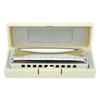 Blues Harmonica 10‑Hole Mouthorgan A Key Portable Beginner Gift Wind Instrument Waterproof