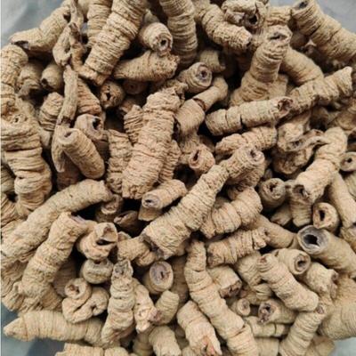 2023 Nuovo Baji Tian Erbe Cinesi Baji Essiccato 500g