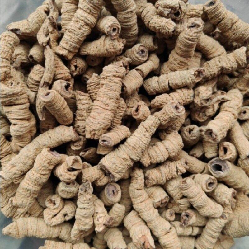 2023 New Baji Tian Chinese Herbs Dried Baji 500g