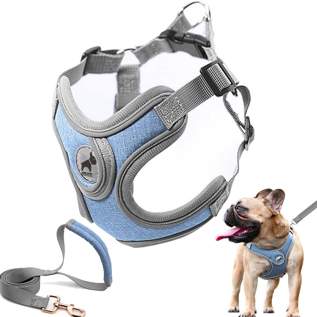 SAEGYPET Dog Harness with Lead No Pull Dog Collar Harness with Padded Vest Harness for Training and Running Small Medium Large Dogs Set, (Blue, M)