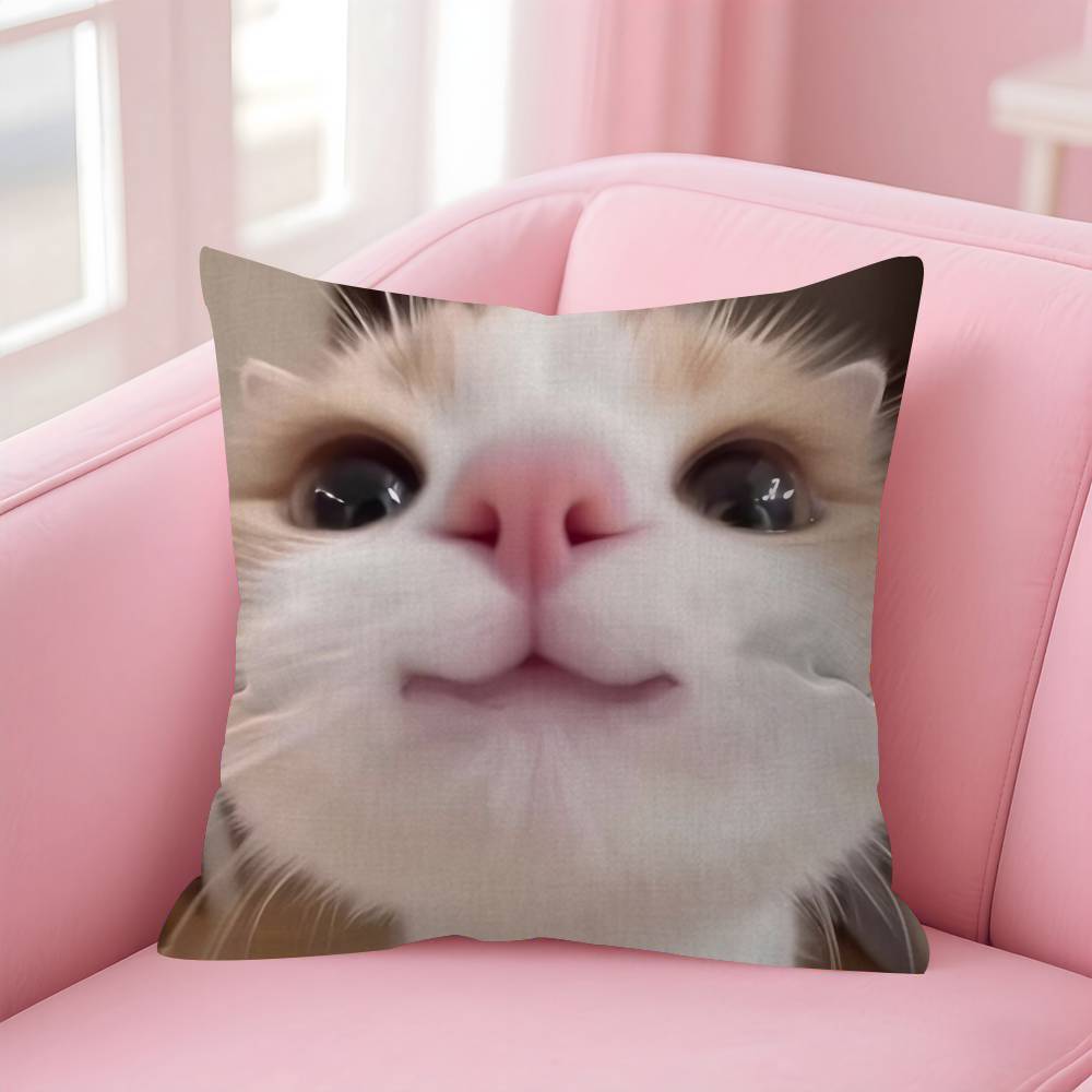 Funny Cat MMeme  Personalized Pillow Cover Kids Bedroom Wild Party Decor Pillowcase Kid Birthday Shower Gift