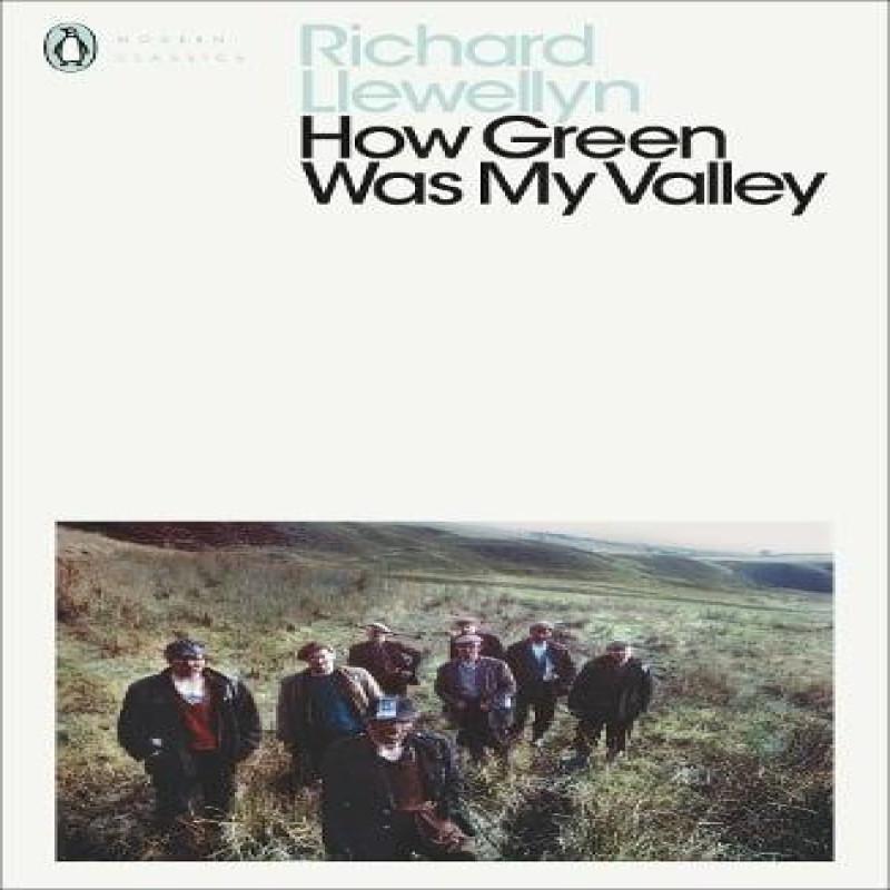 How Green Was My Valley by Richard Llewellyn Paperback Book 9780141185859