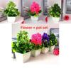 Fake Flower Potted Chrysanthemum And Palm Creative Miniature For Living Room Decor