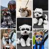 Impact-Resistant Dog Sunglasses Windproof Design Doggie Goggles Pet Glasses  Driving Protection