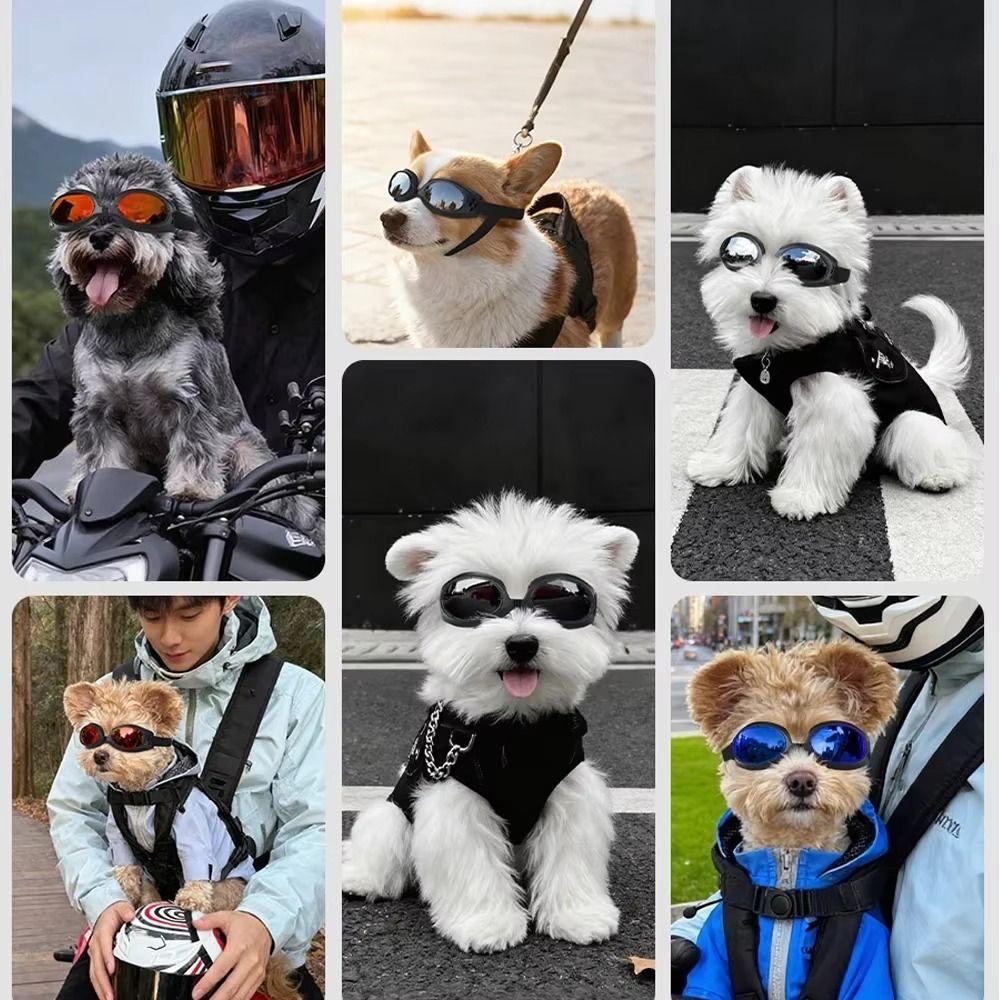 Impact-Resistant Dog Sunglasses Windproof Design Doggie Goggles Pet Glasses  Driving Protection