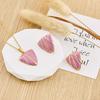 Heart-Shaped Women's Stud Earrings with Light Luxury Gem and Stainless Steel Heart Necklace