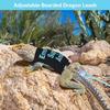 Bearded Dragon Harness and Leash Set Adjustable Reptile Lizard Leash Rope Vest Clothes Starter Kit Accessories for Small Animal Outdoor Walking