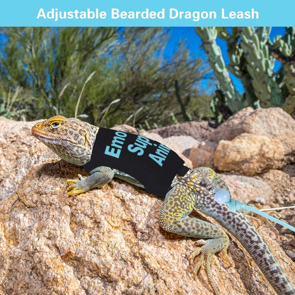 Bearded Dragon Harness and Leash Set Adjustable Reptile Lizard Leash Rope Vest Clothes Starter Kit Accessories for Small Animal Outdoor Walking