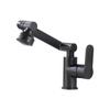 TLXT Lucky Cat Basin Faucet