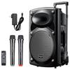Newmine A12 12-inch Outdoor Portable Trolley Bluetooth Speaker (CN Version)