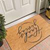 Pink Swan Black Cat Pattern New Entrance Floor Mat Bathroom Absorbent Foot Door Mat Horror Skeleton Decoration