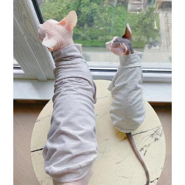 Cotton Sphinx Cat Dog Clothes For Small Puppy Hairless Cat Sweatshirt Clothing Stripe Pet Costume Kittens Jumpsuit Autumn Winter