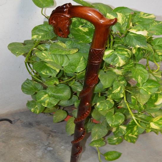 Wooden Carved Eagle Head Snake Climbing On A Tree Shaped Cane Handmade Wood Crafted Comfortable Handle Hand Carved Cane for Man Woman