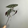 Long Branch Artificial Green Plants Realistic Fake Tree Leaves  Home Office Decor
