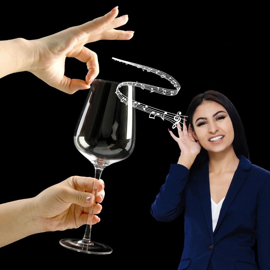 

Набор бокалов для белого вина 4 шт. Итальянские бокалы 17 унций Прозрачные United States