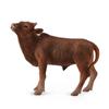 CollectA Ankole-Watusi postava telete (Malý)