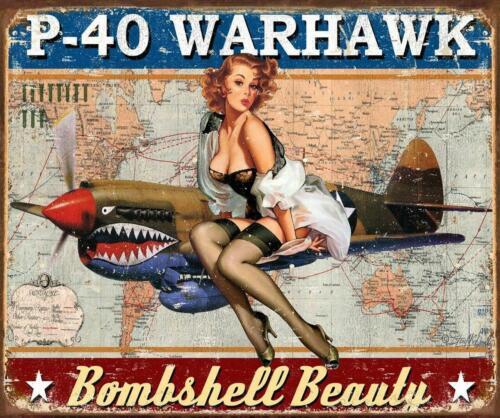 P40 Warhawk Airplane WW2 Retro War Wall Bar Décor Metal Tin Sign USAAluminum 20x30cm(7.8x11.8inch)