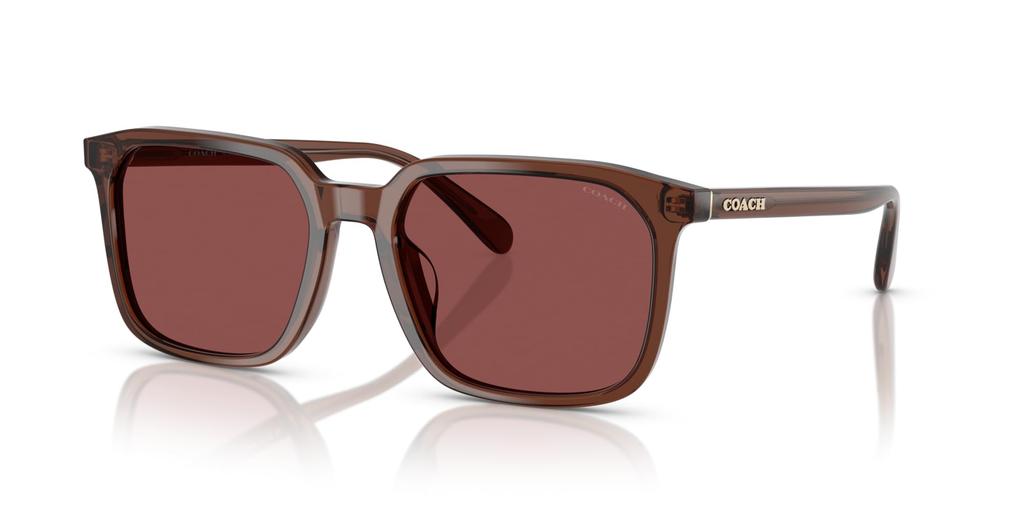 Sunglasses 0HC8411U TRANSPARENT MAHOGANY 55 [Coach]