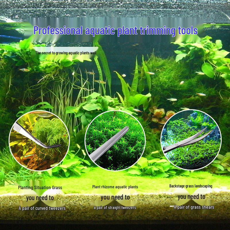 Longxiang Palace Aquarium Landscaping Set: Stainless Steel Tweezers, Feeding Tongs, and Wave Scissors for Aquatic Plants in Fish Tanks
