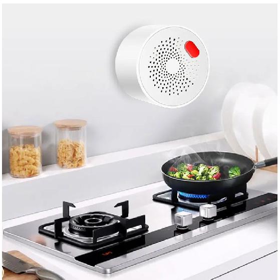 WIFI/zigbee Natural Gas Sensor Combustible Household Smart LPG Gas Alarm Detector Leakage Sensor Fire Safety Work with Tuya App