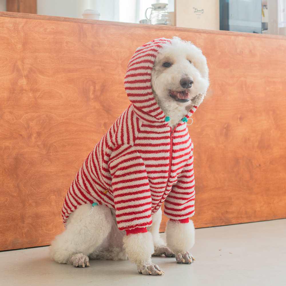

Large Dog Winter Velvet Coat for Labradors, Golden Retrievers, and Poodles - Trendy Pet Apparel M