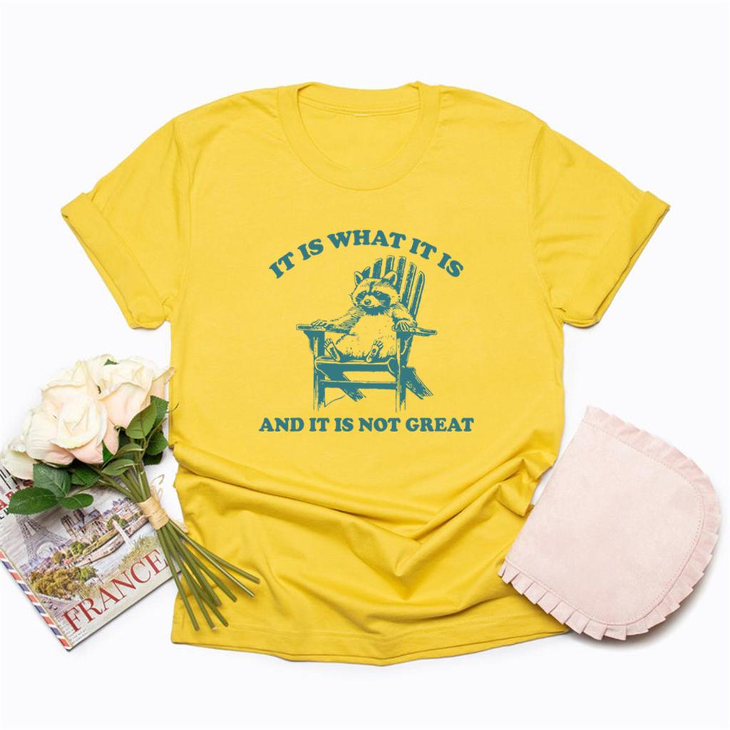 It Is What It Is and It Is Not Great T Shirt Funny Raccoon Tshirt Women's Short Sleeve T-shirts Retro Graphic Tees Women Clothes