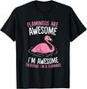 Flamingo Awesome Logic Graphic Tee Soft Cotton Short Sleeve T-Shirt Casual Street Wear