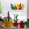 Cartoon Colorful Parrot Static Window Stickers, No Glue Removable Glass Decals for Home Decor