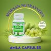 Morsan Nutraveda Amla (Emblica Officinalis) Capsules - 60 Veg. Capsule X 500 Mg. | Rich In Vitamin C for Immunity, Skin (1 Pack of 60 Capsules)