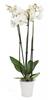 Composite Flowerpot White With Indentations Gs12Ad12.Bk 12X12Cm