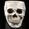 Spooky Skull Shape Resin Cigarette Ashtray Halloween Party Home Desk Decor Gift
