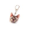 Creative Cat Shape Keychain Mini Animal Toy Keyrings Acrylic Animals Key Chain Pendant DIY Keychains Crafts Decorations