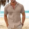 Men's Button Summer Cross-border Beach Shirt Short-sleeved Plain Lapel Casual Daily Cotton and Linen Fashion and Comfort