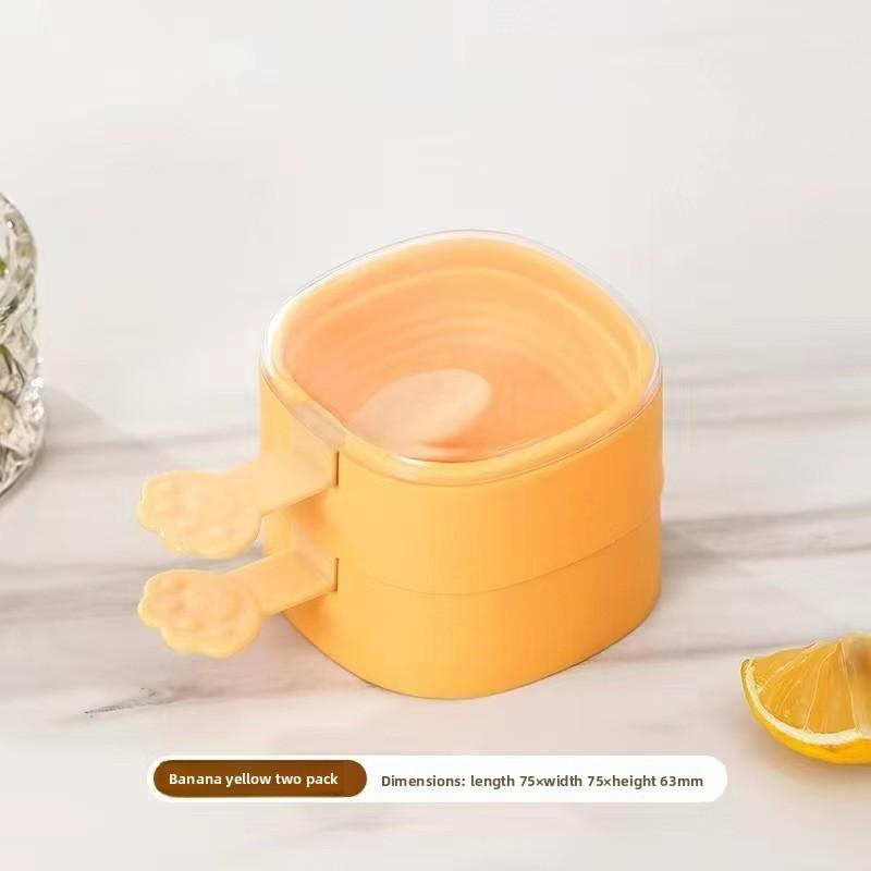 Homemade Ice Lolly Moulds for Domestic Use