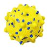 Durable Solid Textured Pet Chew Ball for Dogs and Cats Interactive Entertainment Toy with Raised Surface Design