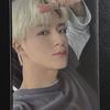 Ncitydream Bttf Everline Lucky Draw Genofoca 