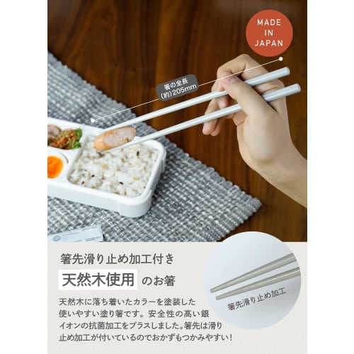 CB Japan Chopsticks with Case, Antibacterial, Ash Navy, Dishwasher Safe, Bento Chopsticks, 20.5cm, Quiet, Easy to Store in the Case, Natural Wood, Lac