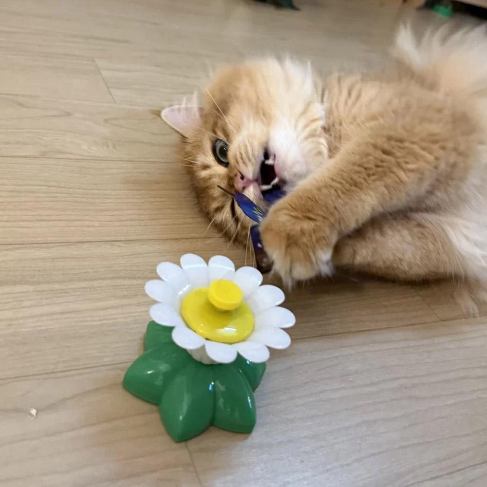 Automatic Rotating Electric Cat Toy Colorful Butterfly Bird Animal Shape Plastic Funny Kitten Pet Dog Interactive Training Toys