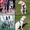 Dog Harness Vest Chest Rope Set Reflective Breathable Soft Padded Adjustable Pet Harness for Small Medium Dogs Outdoor Walking