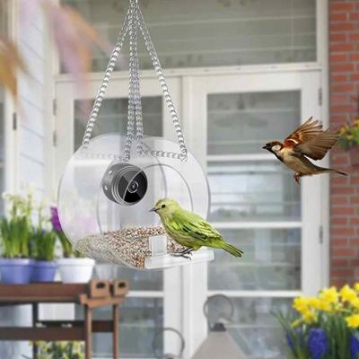 Intelligenter Vogelhäuschen Acryl mit Kamera Vogelhaus Haustierfutterspender Transparent 1080P HD Einfache Installation für Außenbereich Garten