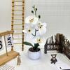 Artificial Plastic Phalaenopsis Flower Bonsai For Event Decoration Home Styling